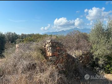 Terreno agricolo con vista mare con rudere