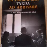LA PRIMAVERA TARDA AD ARRIVARE di Flavio Santi