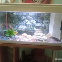 acquario 50 litri