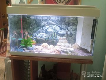 acquario 50 litri