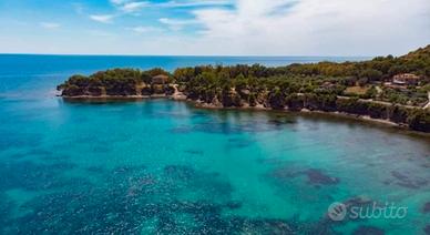 Cilento perla incantevole