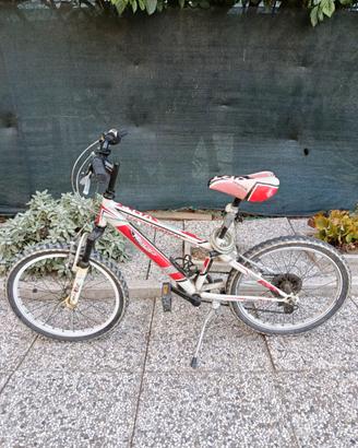 Bici bambino raggio 20 pollici