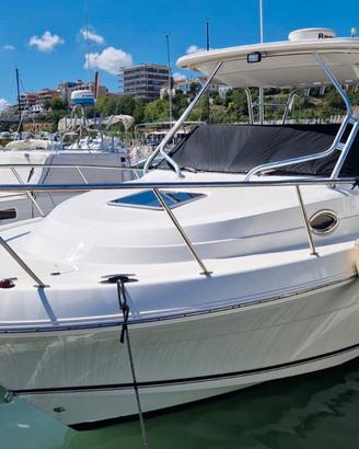 Robalo R305