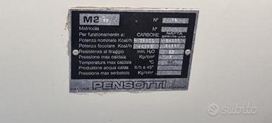 CALDAIA A LEGNA CARBONE