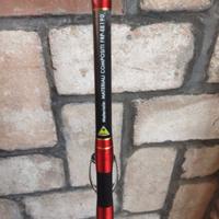 Canna da pesca professionale semi nuova