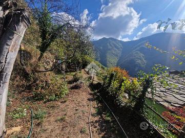 3 LOCALI A MOLINI DI TRIORA