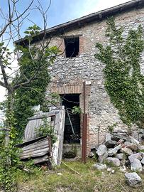 Casaletto indipendenti con giardino