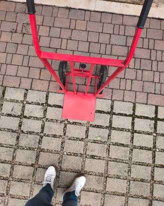 Carrello