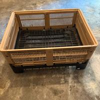 Casse pallet pieghevoli Tosca grandi