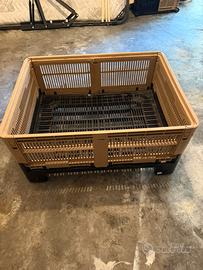 Casse pallet pieghevoli Tosca grandi