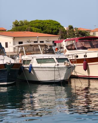 Chris Craft 30 express 