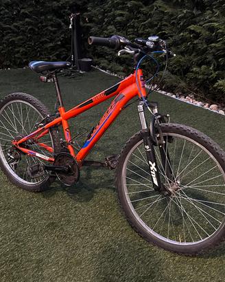 Bici ragazzo MTB 24” Evolution Maniac shimano