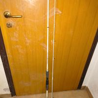 Canna da Pesca a Casting