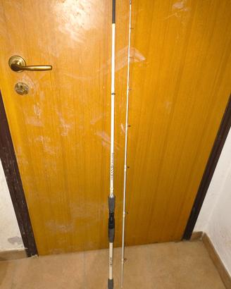 Canna da Pesca a Casting