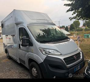 Fiat Ducato allestito per Trasporto Cavalli