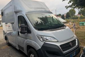 Fiat Ducato allestito per Trasporto Cavalli