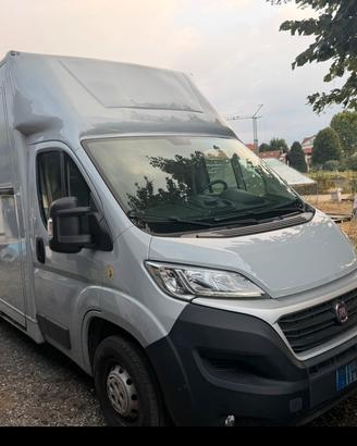 Fiat Ducato allestito per Trasporto Cavalli