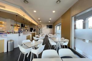 ATTIVITÀ A TORBOLE CASAGLIA