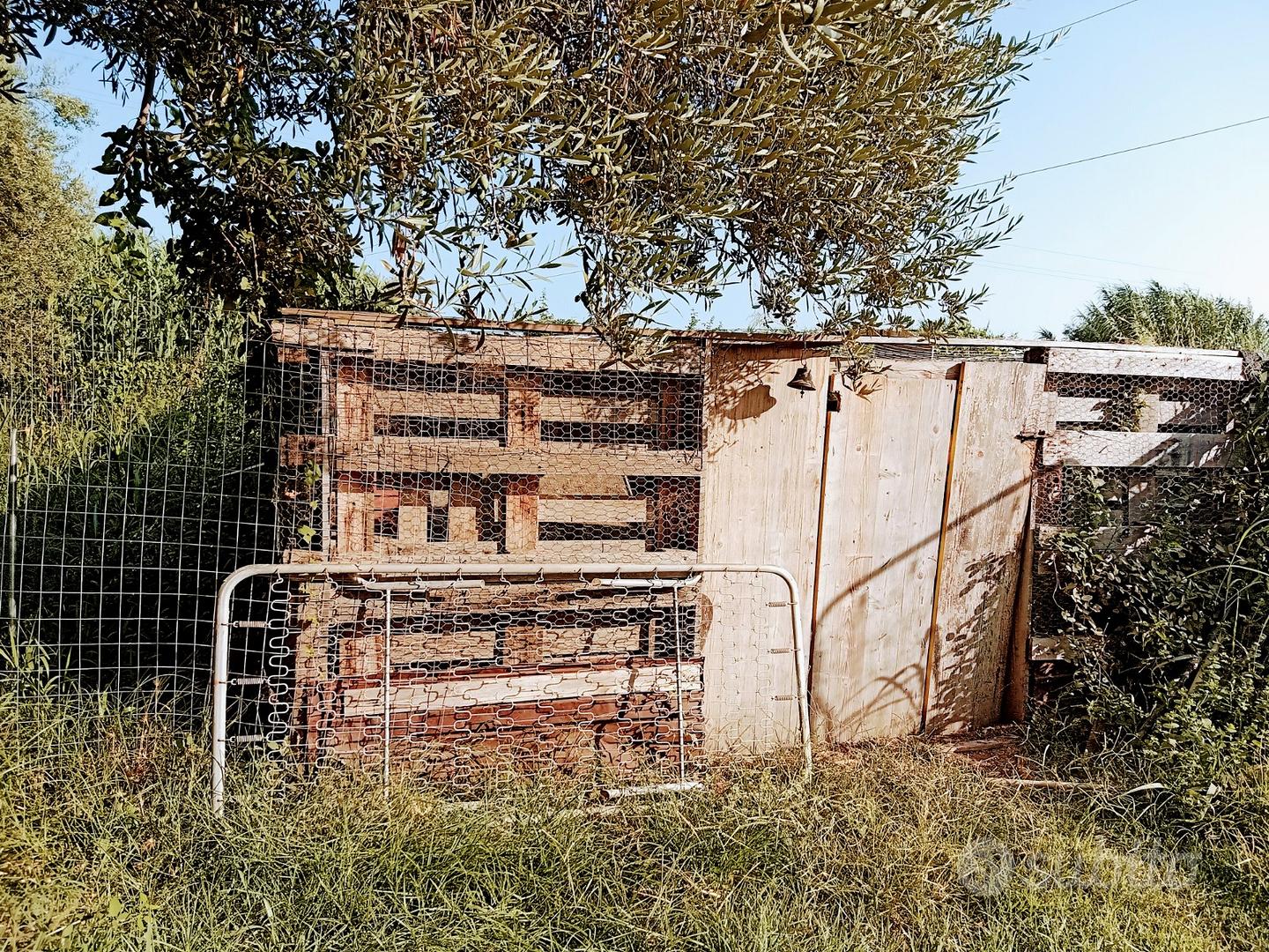 Terreno agricolo 2000m² al fianco di Capo d'Orlano - Vista 3