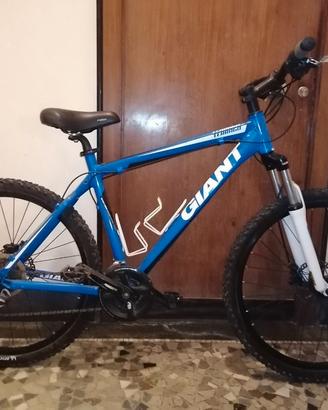 Mountain Bike Giant Terrago