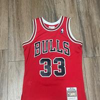 canotta chicago bulls
