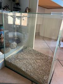 Acquario