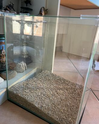 Acquario