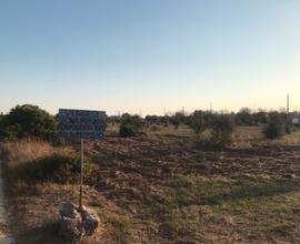Terreno Agricolo - Marina di Lecce