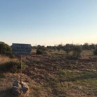 Terreno Agricolo - Marina di Lecce