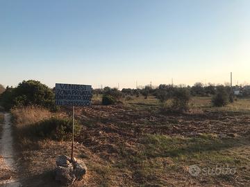 Terreno Agricolo - Marina di Lecce