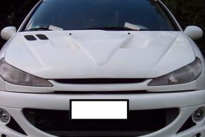 Mascherina radiatore PEUGEOT 206 no logo
