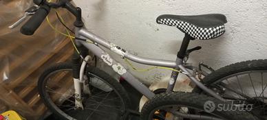 biciclette 