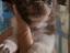 Immagine 6