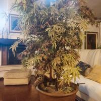 pianta finta con vaso