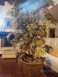 pianta finta con vaso