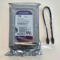 Hard Disk WD viola 1 TB videosorveglianza NUOVO