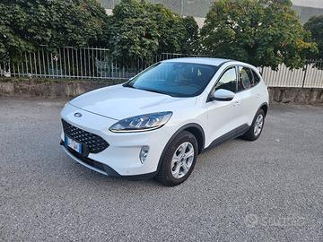 Kuga Hybrid FHEV 2500cc 190cv