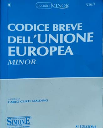 Codice breve dell'Unione Europea