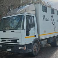 eurocargo trasporto cavalli 6 posti