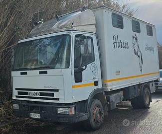 eurocargo trasporto cavalli 6 posti