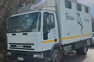 eurocargo trasporto cavalli 6 posti
