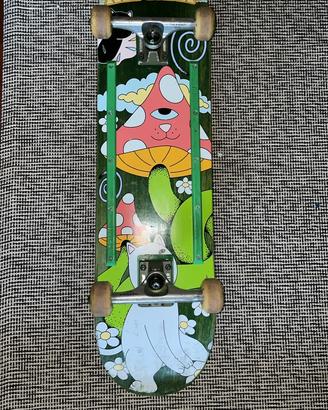 skate ripndip custom