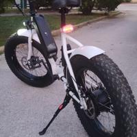 Bicicletta elettrica pieghevole Fat bike