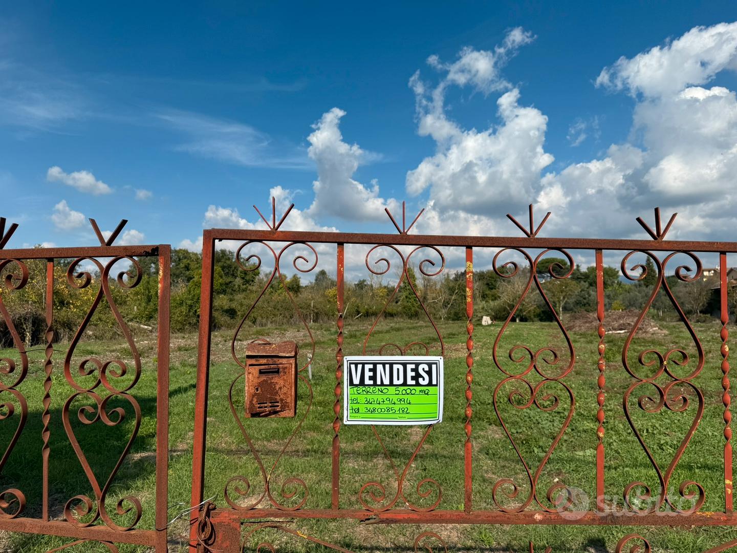Terreno AGRICOLO 5.000 mq - Vista 2