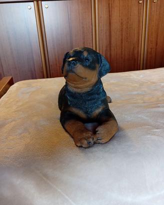 Rottweiler cucciolo bel soprammobile realistico