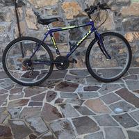 bicicletta mountan bike douglas explorer
