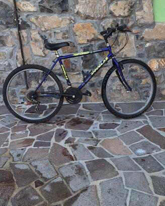 bicicletta mountan bike douglas explorer