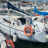 Segugio 850 natante a vela