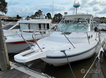 Boston Whaler 295 Walk Around del 2002 motori 2019