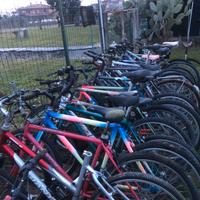 Biciclette uomo donna